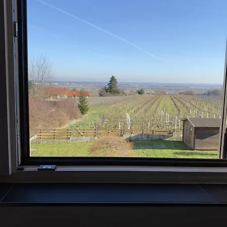 Сasa de vacaciones Weitblick Neustadt an der Weinstraße